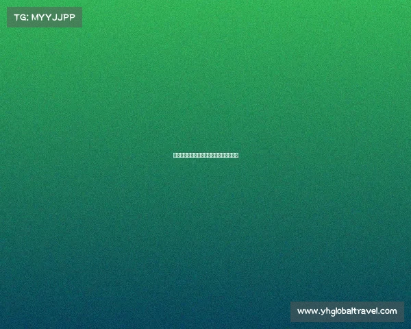 电竞学校门槛真那么高?你的电竞梦够格吗