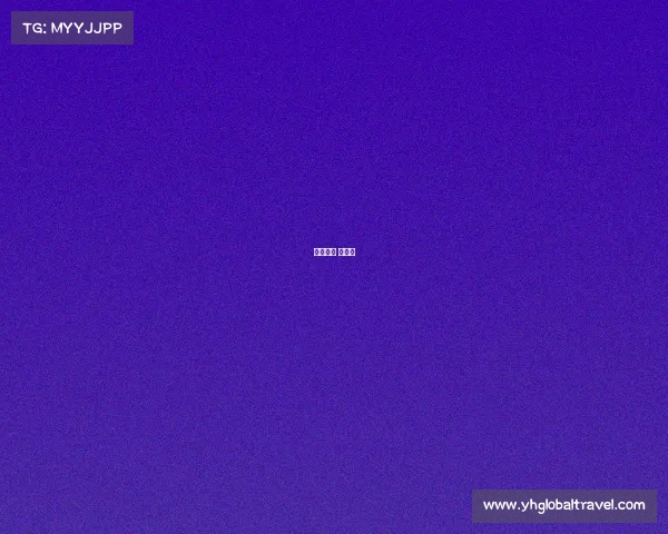 电竞装备 性价比