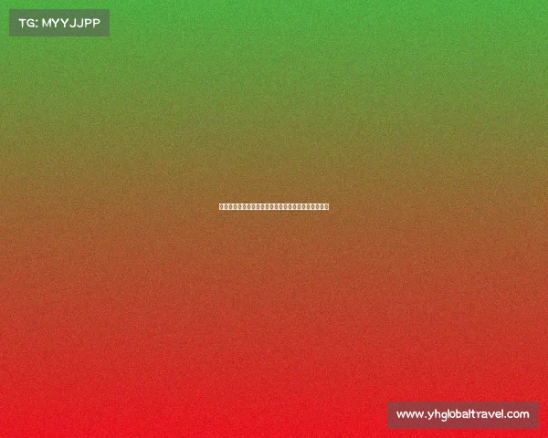 辽域电竞再启新篇:数字浪潮下的产业变革与青春赛道